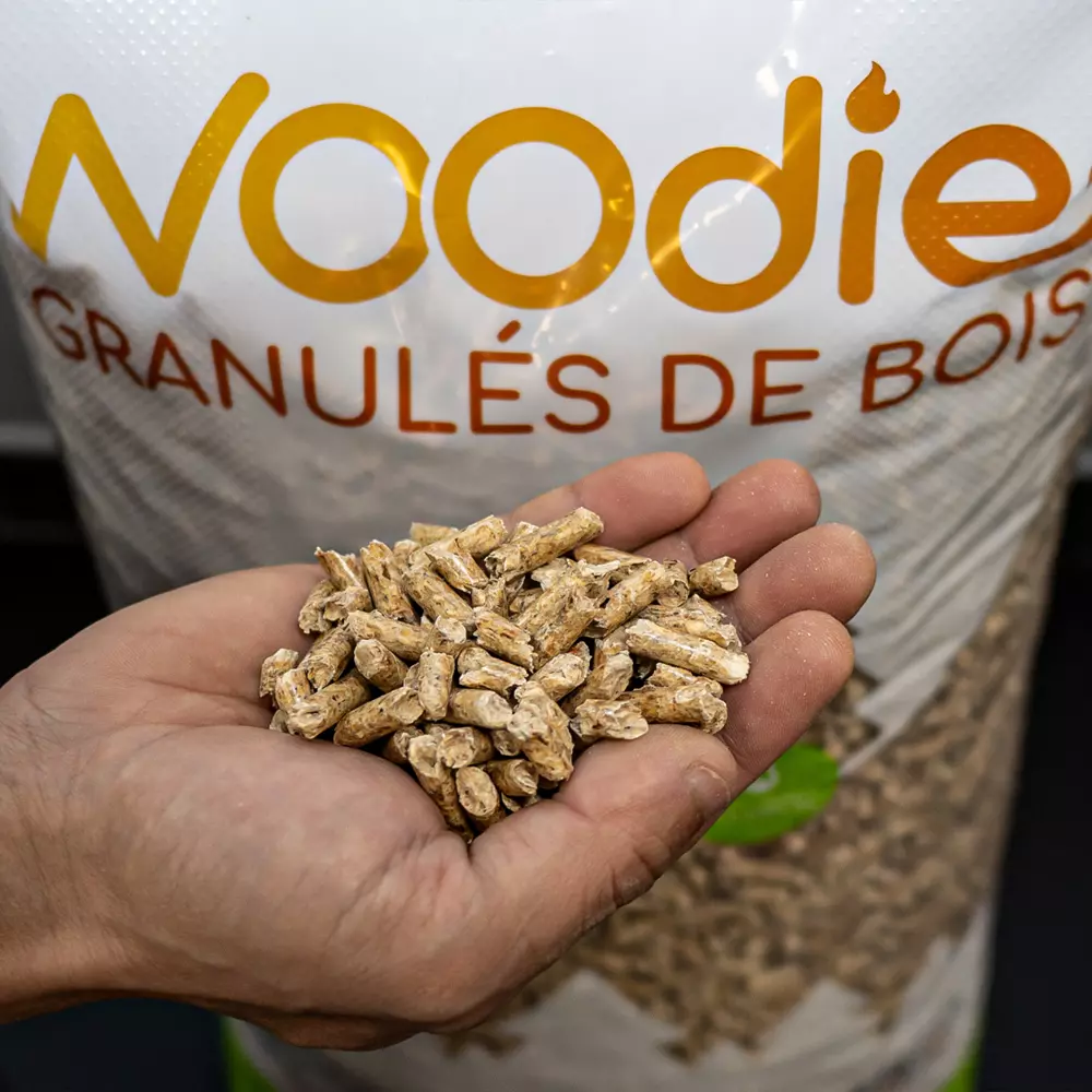 Palette Granulés bois WOODIES